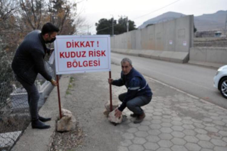 Derik’te 4'ü çocuk 7 kişiyi ısıran köpek kuduz çıktı; mahalle karantinaya alındı - Resim : 1