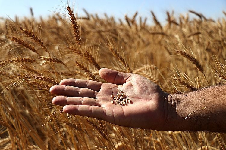 90 Günlük Süreç Başladı: Miras Tapusu Olanlar Dikkat... - Resim: 5