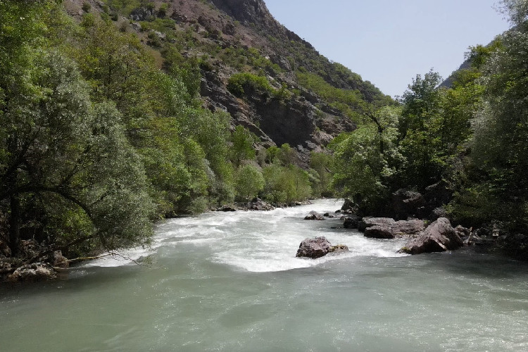 yeni-proje-2024-05-03t143843-676.jpg