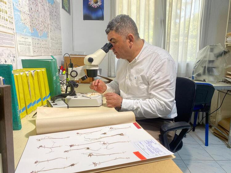 Bilim dünyası, endemik tür 'İzmir Soğanı'nı keşfetti - Resim : 2