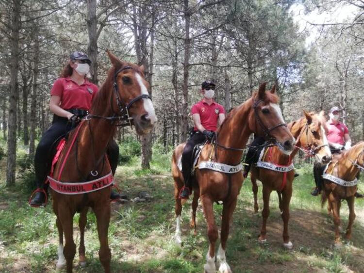 Aman ormancı, canım ormancı, darbe yapma yaman ormancı... - Resim : 3