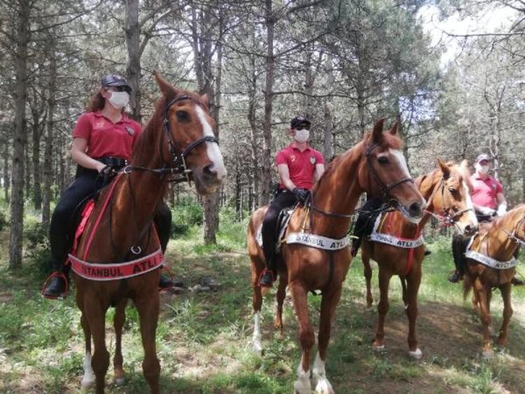 Aman ormancı, canım ormancı, darbe yapma yaman ormancı... - Resim : 3