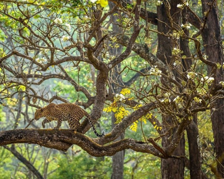National Geographic Seyahat Fotoğrafları - Resim: 10
