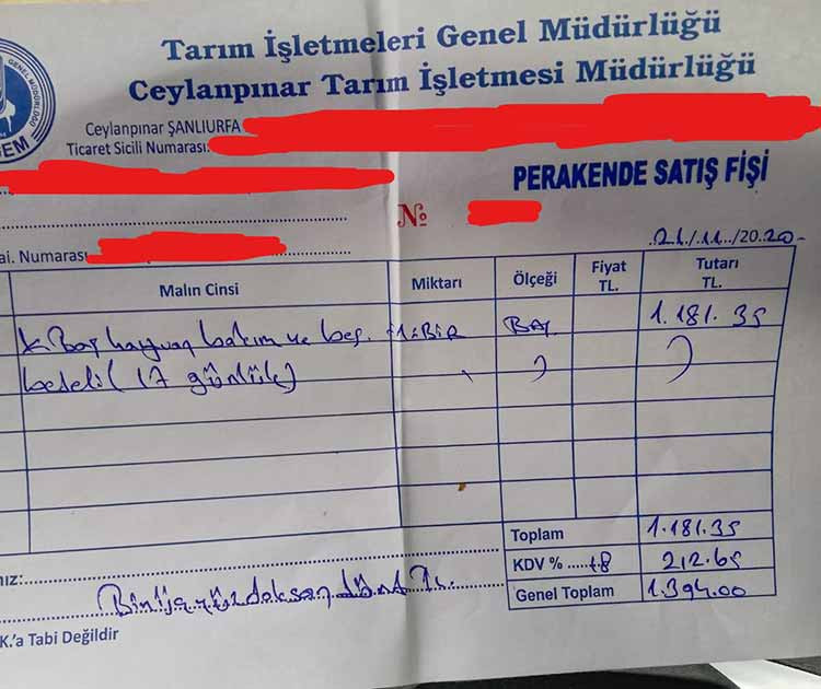 Otlatma yasağı: Asker zoruyla hayvanlar toplanıyor, sahiplerine ceza makbuzu kesiliyor - Resim : 2