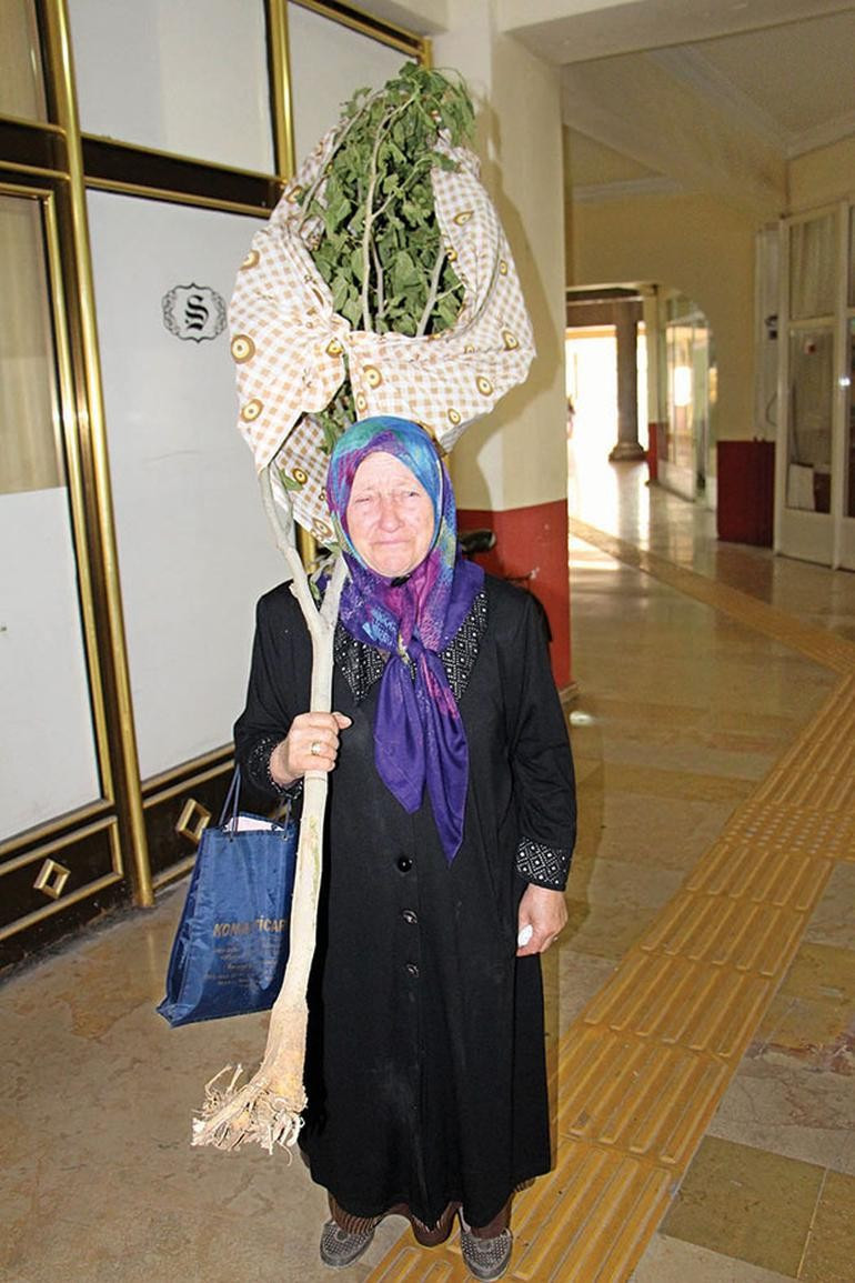 'Hele bir bostanıma gelsinler üstlerine kaynar su dökerim' - Resim : 1