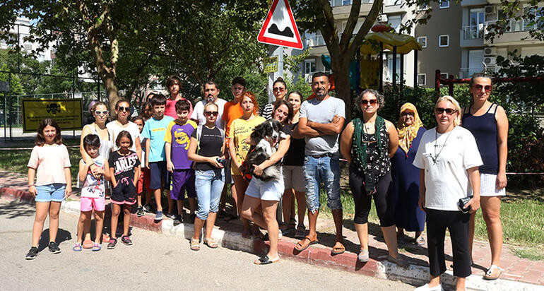 Antalya'daki köpek ölümlerine mahalleli çare arıyor - Resim : 1
