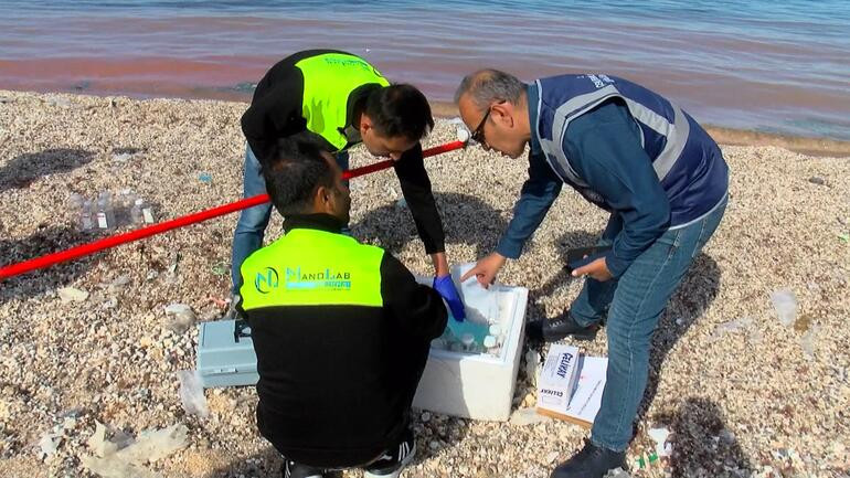 Karadeniz'de renk değişimi: Müsilaj değil alg patlaması - Resim : 2