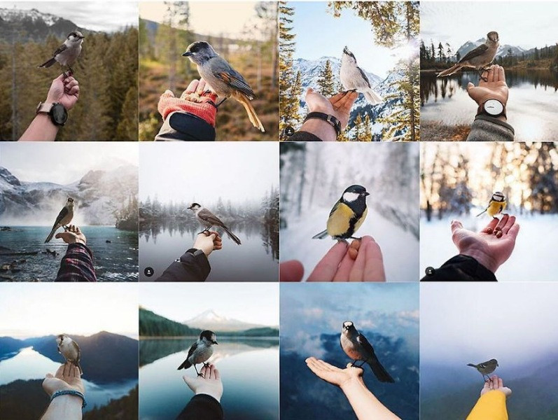 Instagram'da birbirinin aynı fotoğraflar - Resim: 45