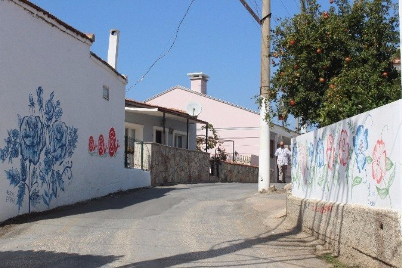 'Bütün Türkiye'yi boyamak istiyorum' - Resim: 9