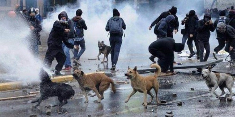 Fotoğraflarla Gezi Parkı Direnişi - Resim: 36