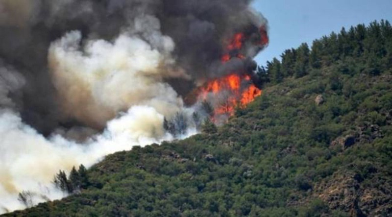 Marmaris'teki yangın 3'üncü gününde devam ediyor: Koordinasyon merkezi boşaltıldı - Resim: 8