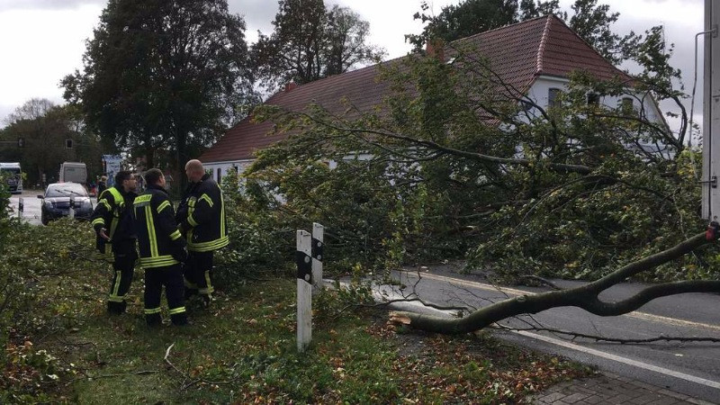 Almanya'da çıkan fırtınada 7 kişi hayatını kaybetti - Resim: 5