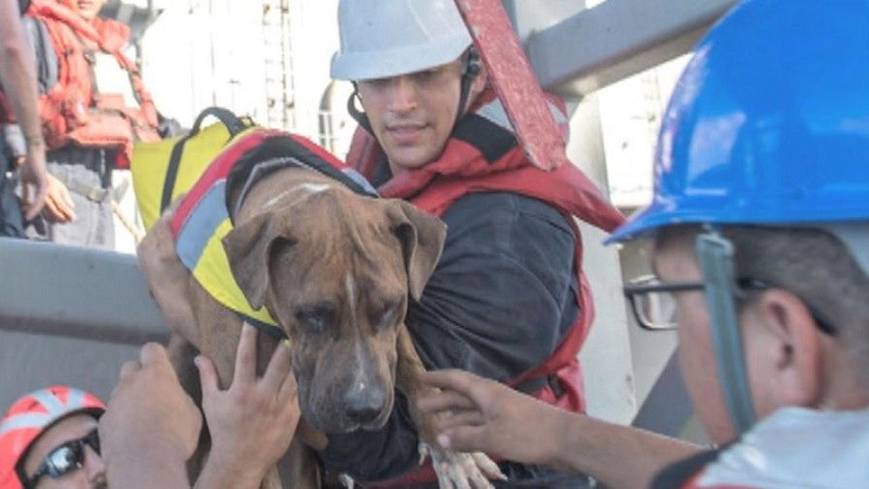 Okyanusta kaybolduktan iki ay sonra bulundular - Resim : 1