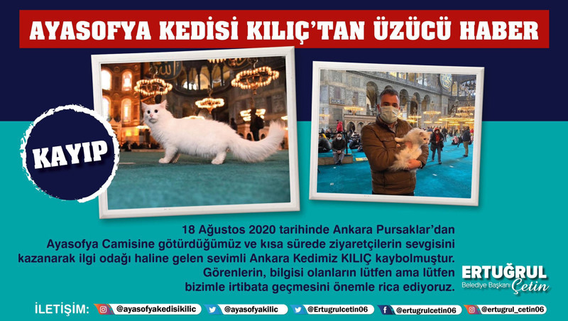 Ayasofya'nın kedisi Kılıç kayboldu - Resim : 1