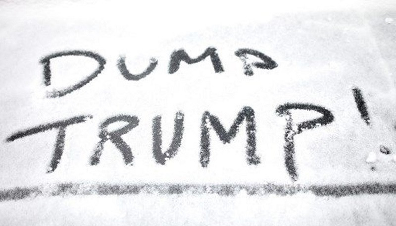 ABD'de kadınlardan Trump'a karşı eylem - Resim : 1