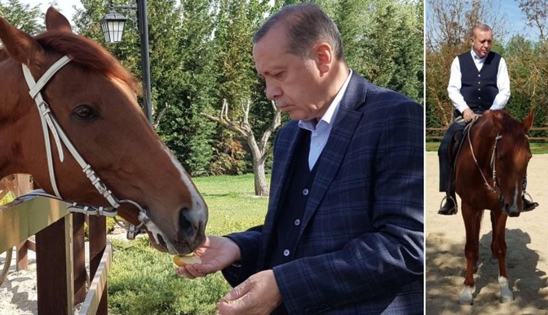 Erdoğan'ın at ile imtihanı - Resim : 1