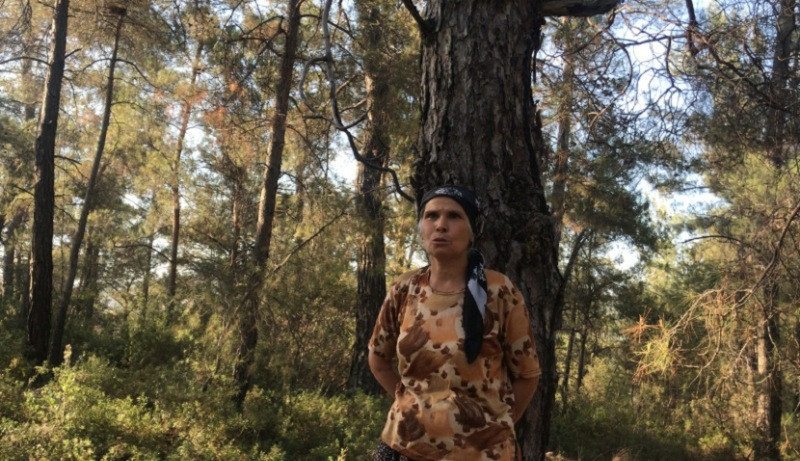 Akbelen Ormanı'nda termik santral için ağaç kesimi başladı - Resim : 1