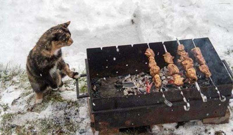 Sosyal medyanın rekortmen fotoğrafları - Resim: 18