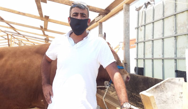 'Hayvancılık bitti, devlet bizi Batı'ya muhtaç etti' - Resim : 1