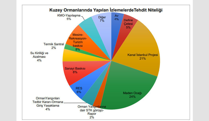 Üç aylık rapor hazırlandı: Kuzey Ormanları'nın yangın ve maden ocaklarıyla tahribi gözler önüne serildi - Resim : 3