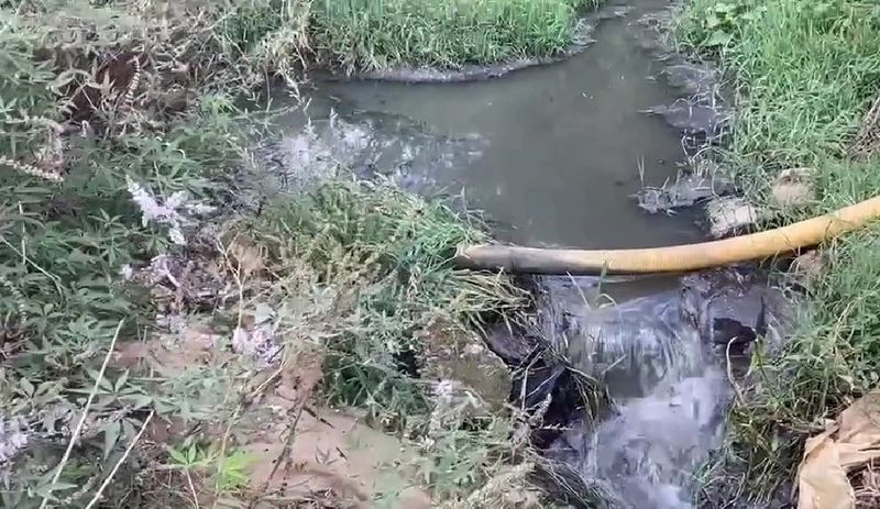 Cezaevinin lağım suları tarım arazilerine boşaltılıyor iddiası: 'Bu çevre katliamını durdurun' - Resim : 1