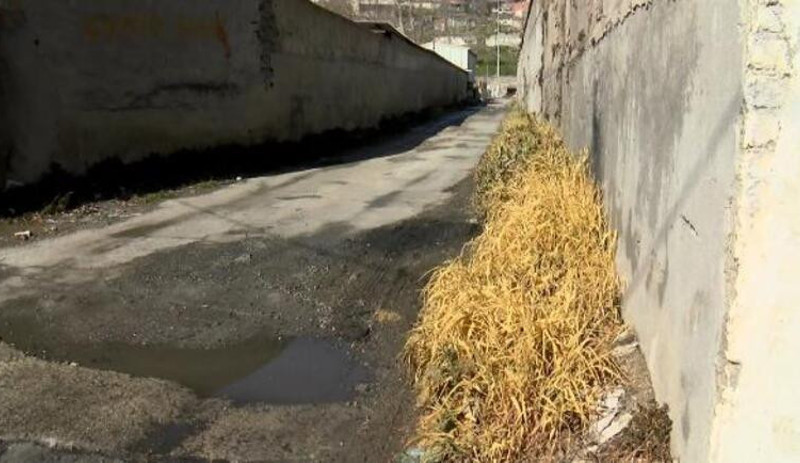 İstanbul'da kimyasal sızıntı: Çevredeki yurttaşlar hastanelik oldu, hayvanlar öldü, bitkiler sarardı - Resim : 1