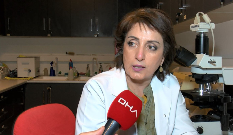 Müsilaj incelemesinin ilk sonuçları: Pandemi de etkilemiş, sudaki canlılar strese girmiş - Resim : 5