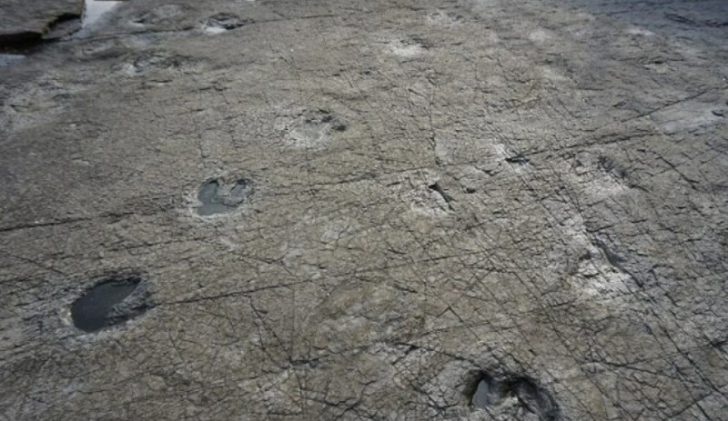 Dinozorları yok eden asteroidin oluşturduğu tsunaminin dalgaları, 66 milyon yıl sonra ilk kez gözlemlendi - Resim : 3