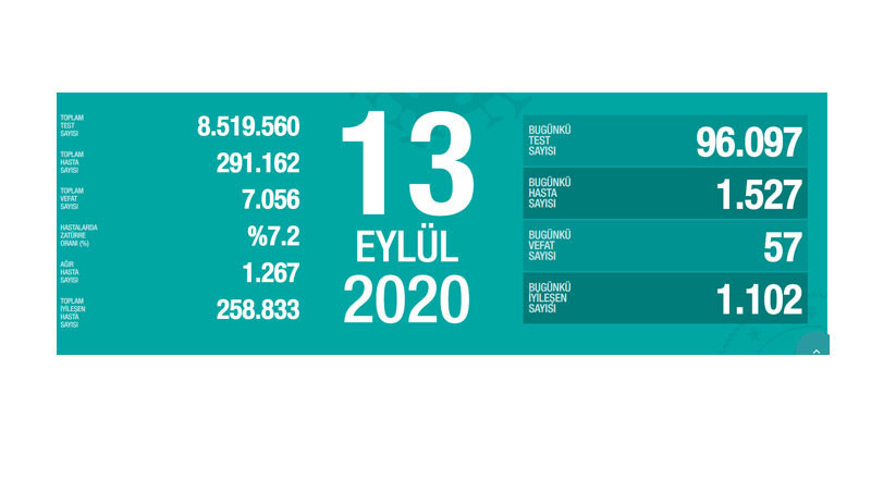 Türkiye'nin Coronavirus tablosu: Hayatını kaybedenlerin sayısı 7 bini aştı - Resim : 1