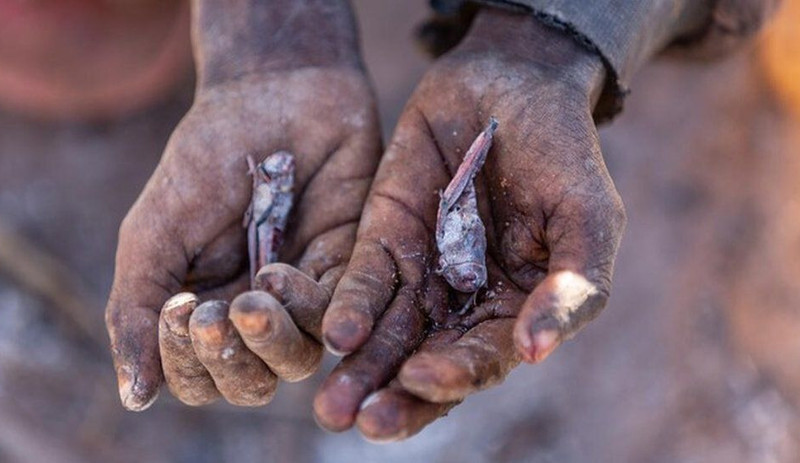 Af Örgütü: Madagaskar'da 1 milyon insan açlıktan ölmekle karşı karşıya, acilen yardım edilmeli - Resim : 3