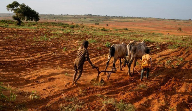 Af Örgütü: Madagaskar'da 1 milyon insan açlıktan ölmekle karşı karşıya, acilen yardım edilmeli - Resim : 2