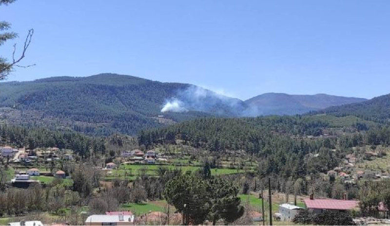 Muğla'da orman yangını - Resim : 1