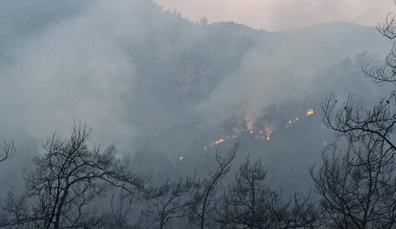 Marmaris'teki yangına havadan ve karadan müdahale - Resim : 1