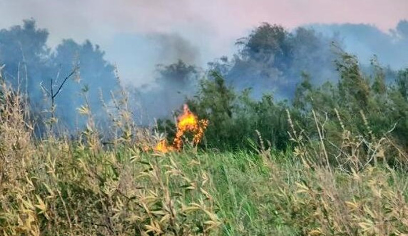 Antalya'da iki noktada çıkan yangınlar söndürüldü - Resim : 1