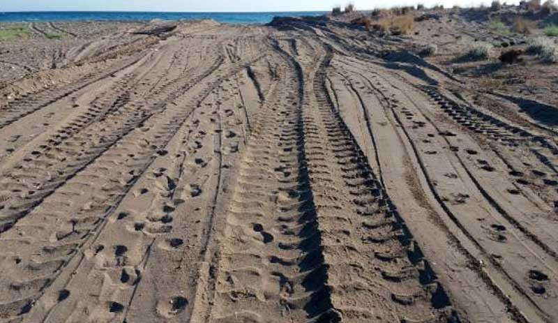 Antalya'da sahile giren iş makineleri caretta caretta yuvalarını ezdi - Resim : 1