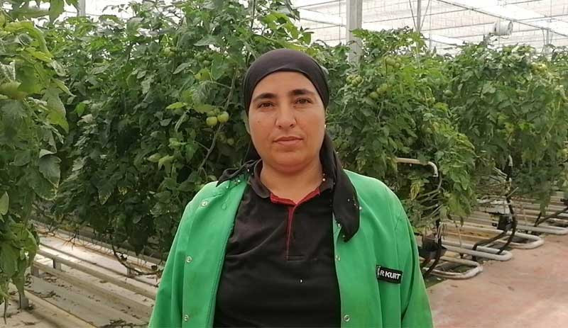 Seracı kadınlar anlatıyor: En çok paketleme yapana çeyrek altın! - Resim : 3