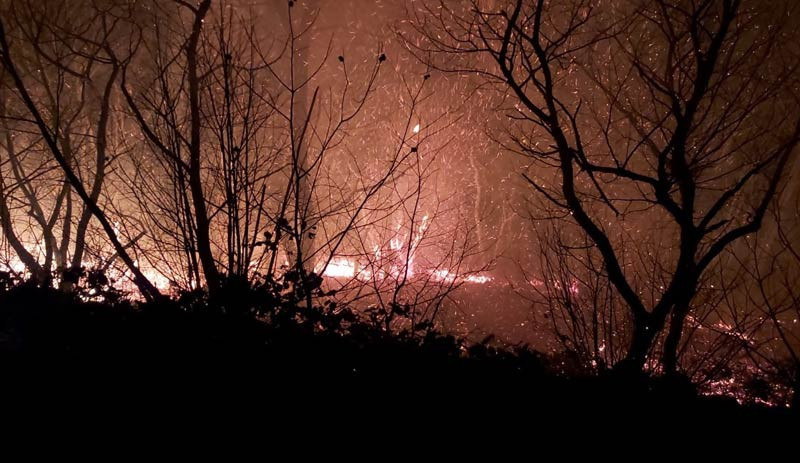 Karadeniz'de 47 noktada yangın: Evler yandı, tarım arazileri zarar gördü - Resim : 1