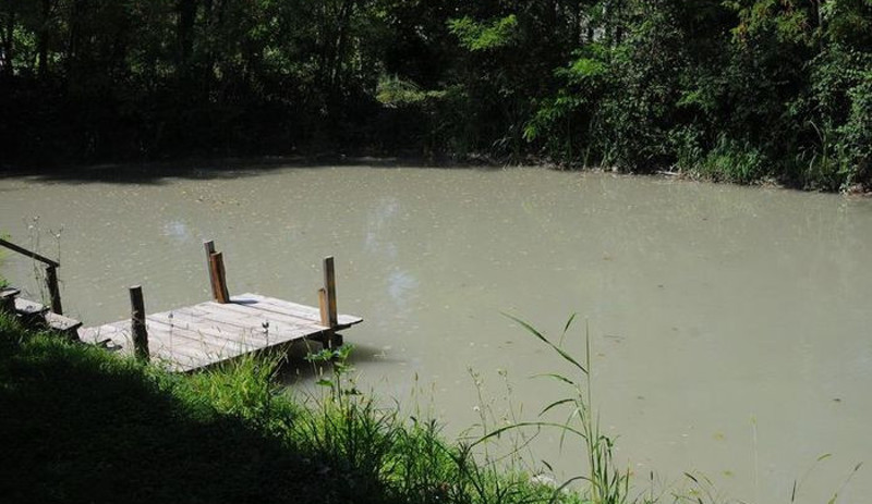 Sapanca'da inşaat atığı karışan derede balık ölümleri - Resim : 3