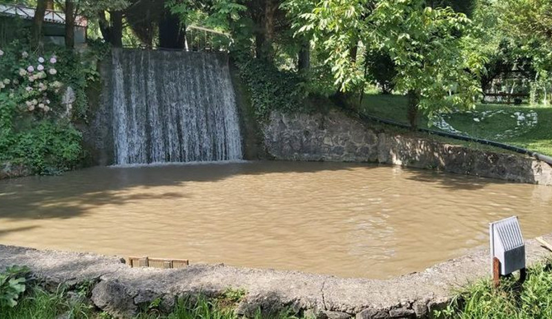 Sapanca'da inşaat atığı karışan derede balık ölümleri - Resim : 1