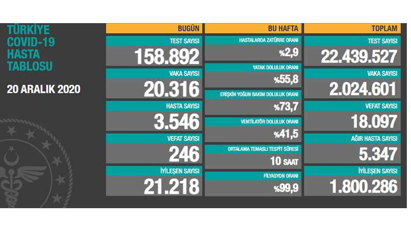 Bir günde 246 kişi yaşamını yitirdi, 20 bin 316 yeni tanı kondu - Resim : 1