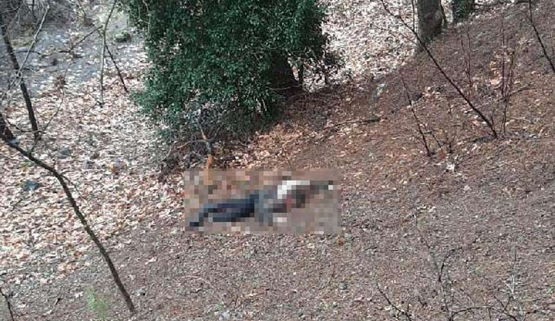 Kuma olmayı reddeden kadını çocuklarının gözü önünde öldürdü - Resim : 1