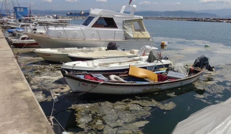 Sahilin müsilajla kaplandığı Darıca'da denize girmek yasaklandı - Resim : 2
