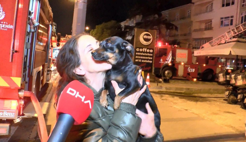 Evdeki dumanı fark eden köpek sahibini ölümden kurtardı - Resim : 1