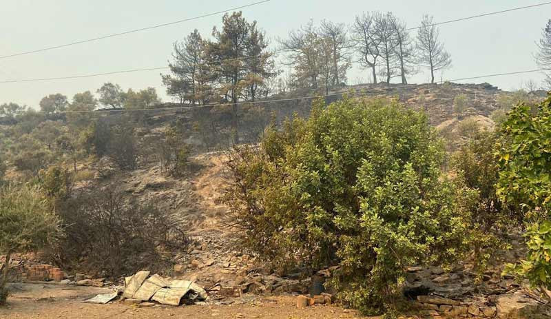 Milas yangını 11'inci gününde kontrol altına alındı - Resim : 1
