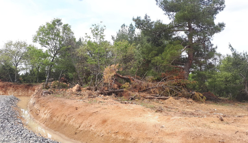 Kazdağları’na RES tehdidi: İnşaat için ormana kaçak beton döküldü, 5 bin ağaç kesilecek - Resim : 2
