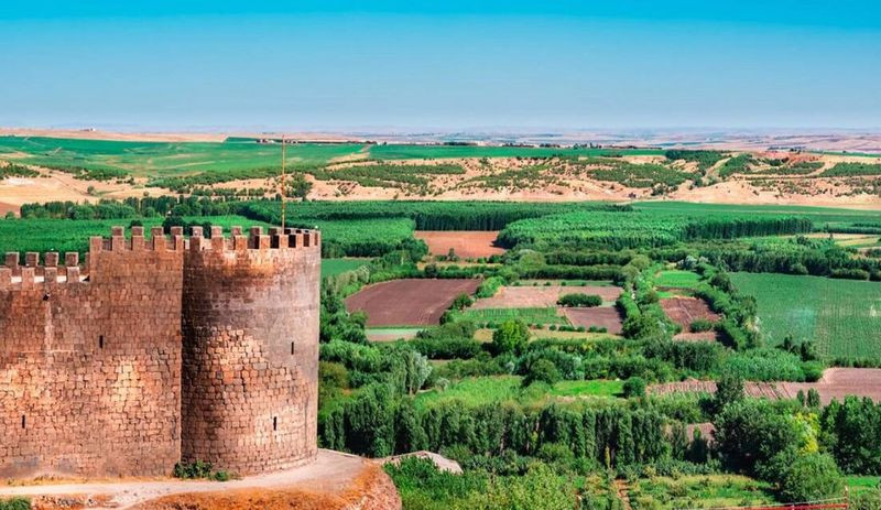 Diyarbakır'da UNESCO Dünya Mirası olan Hevsel Bahçeleri'ni geceleyin ateşe verdiler - Resim : 2