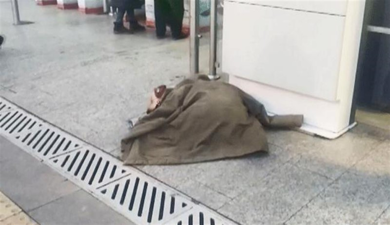 17 yaşındaki genç soğuktan titreyen köpeğe montunu verdi - Resim : 1