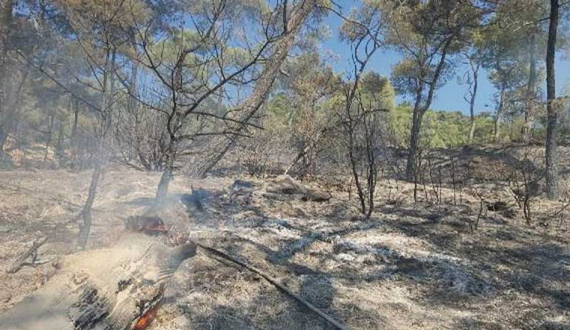 Datça'da orman yangını - Resim : 1