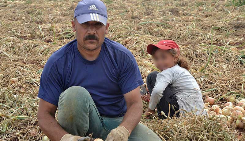 Tarım işçisinin kızı: Babam işsiz kalınca telefonunu sattı, derse katılamadım - Resim : 1