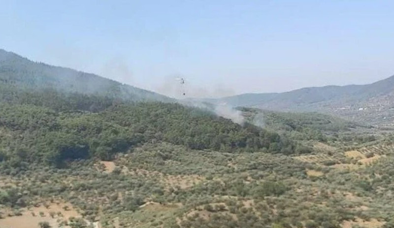 İzmir'de orman yangını - Resim : 1